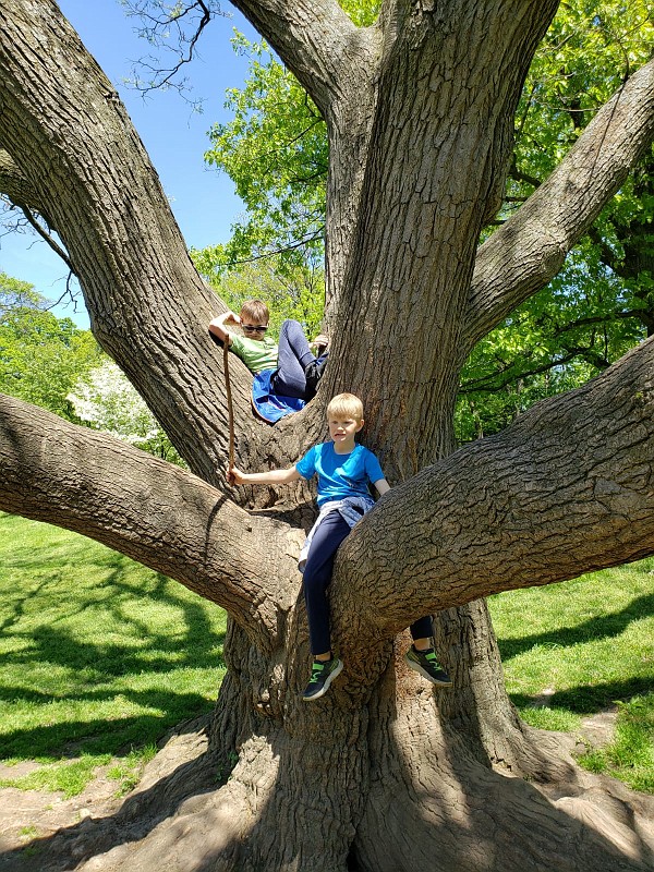 WhatsApp Image 2019-05-12 at 10.13.15 AM(5).jpeg